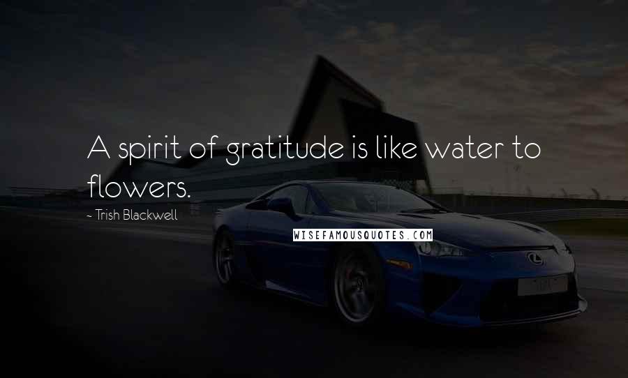 Trish Blackwell Quotes: A spirit of gratitude is like water to flowers.
