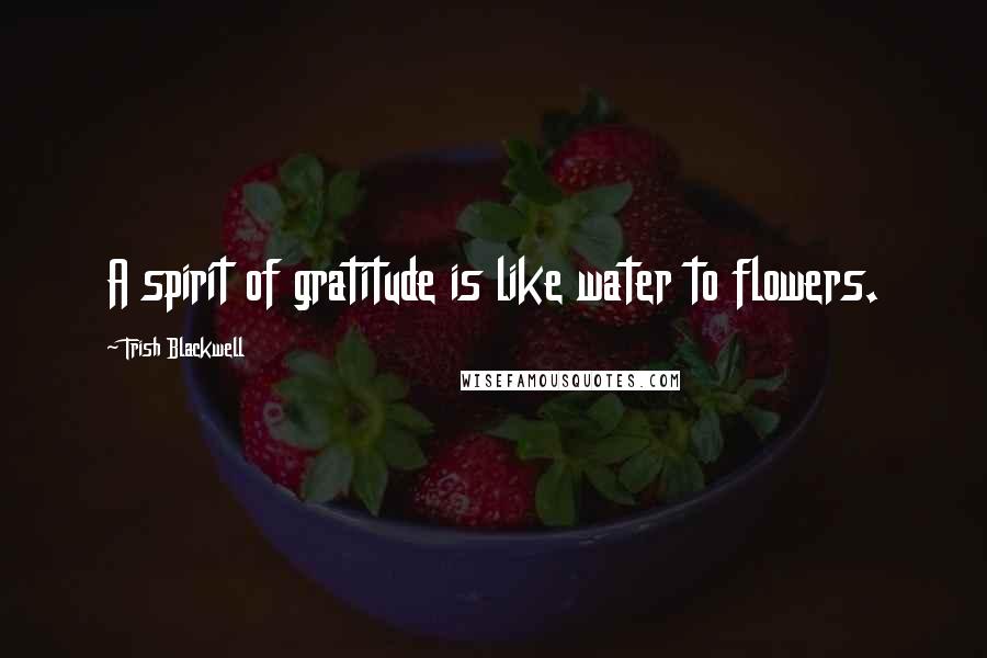 Trish Blackwell Quotes: A spirit of gratitude is like water to flowers.