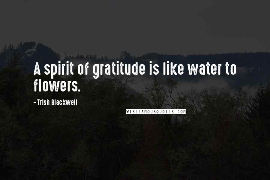 Trish Blackwell Quotes: A spirit of gratitude is like water to flowers.
