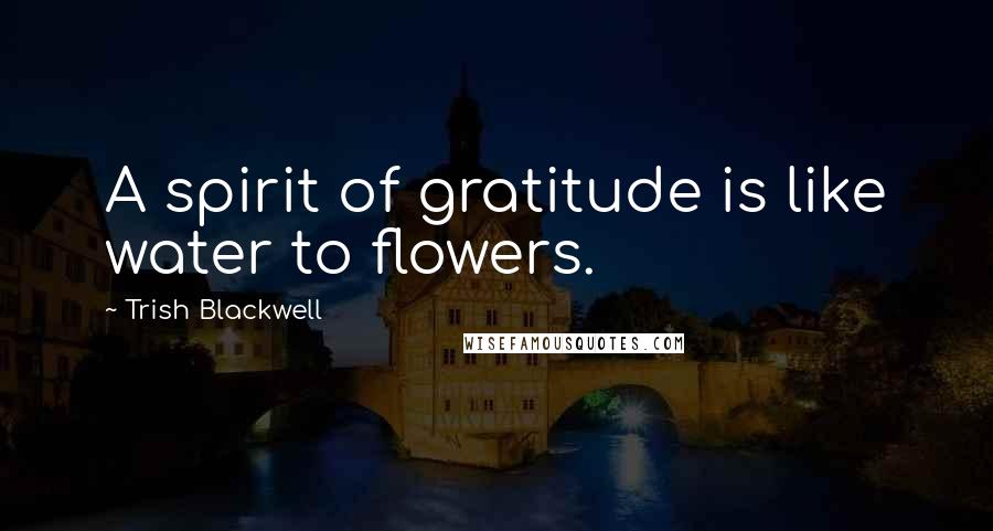 Trish Blackwell Quotes: A spirit of gratitude is like water to flowers.