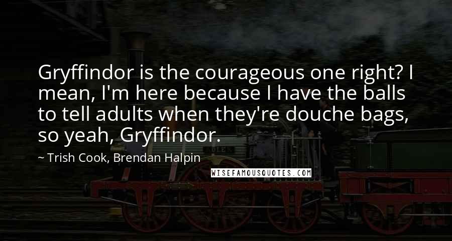 Trish Cook, Brendan Halpin Quotes: Gryffindor is the courageous one right? I mean, I'm here because I have the balls to tell adults when they're douche bags, so yeah, Gryffindor.