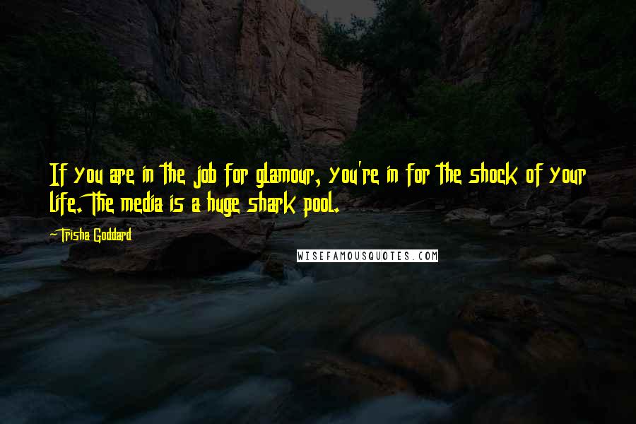 Trisha Goddard Quotes: If you are in the job for glamour, you're in for the shock of your life. The media is a huge shark pool.