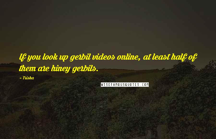 Trisha Quotes: If you look up gerbil videos online, at least half of them are hiney gerbils.