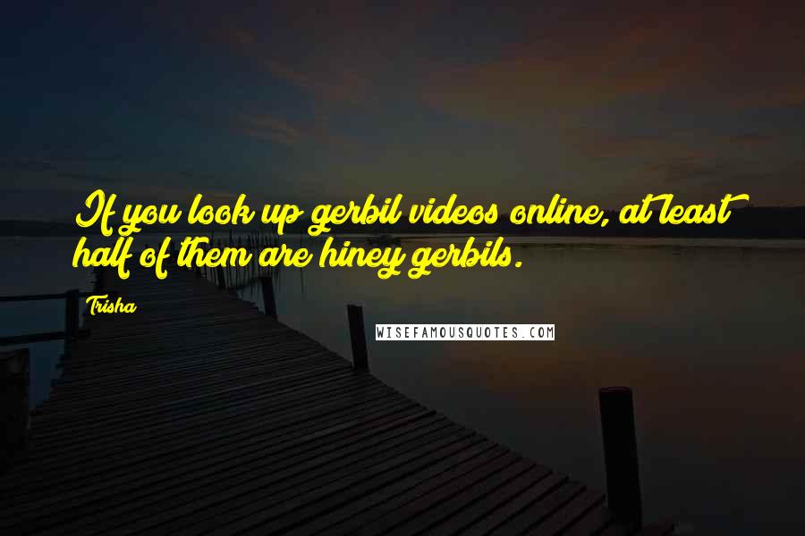 Trisha Quotes: If you look up gerbil videos online, at least half of them are hiney gerbils.