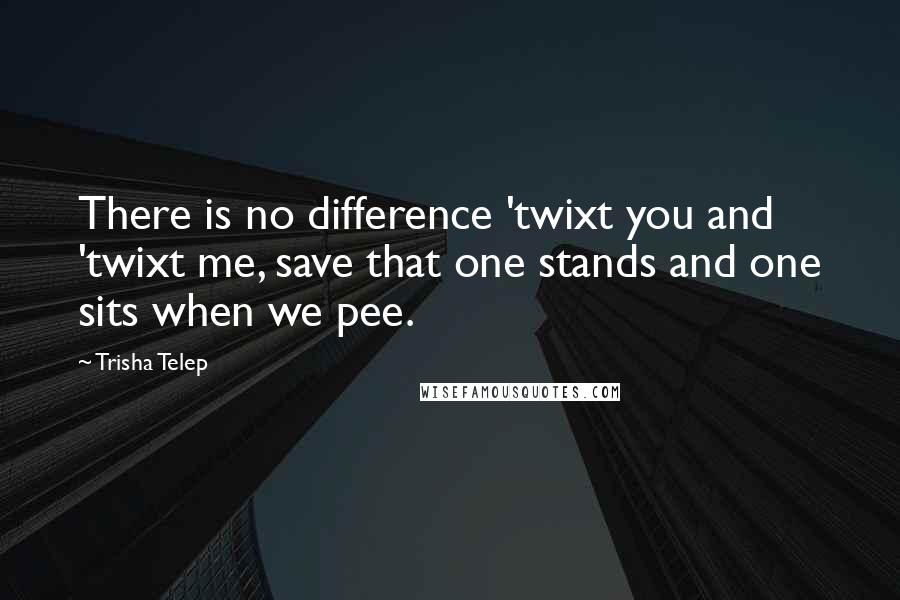 Trisha Telep Quotes: There is no difference 'twixt you and 'twixt me, save that one stands and one sits when we pee.