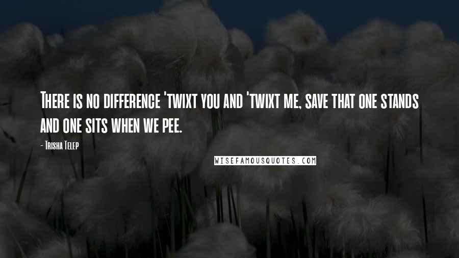 Trisha Telep Quotes: There is no difference 'twixt you and 'twixt me, save that one stands and one sits when we pee.