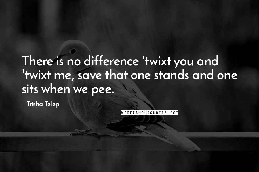 Trisha Telep Quotes: There is no difference 'twixt you and 'twixt me, save that one stands and one sits when we pee.