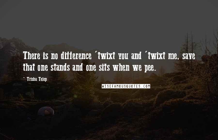 Trisha Telep Quotes: There is no difference 'twixt you and 'twixt me, save that one stands and one sits when we pee.