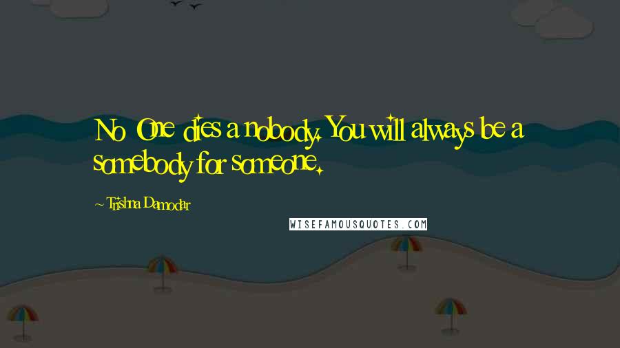 Trishna Damodar Quotes: No One dies a nobody. You will always be a somebody for someone.