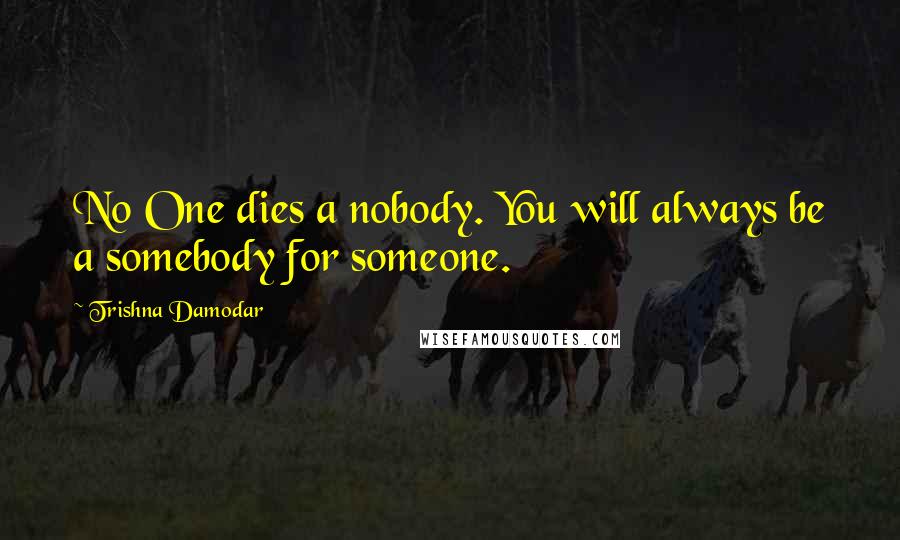 Trishna Damodar Quotes: No One dies a nobody. You will always be a somebody for someone.