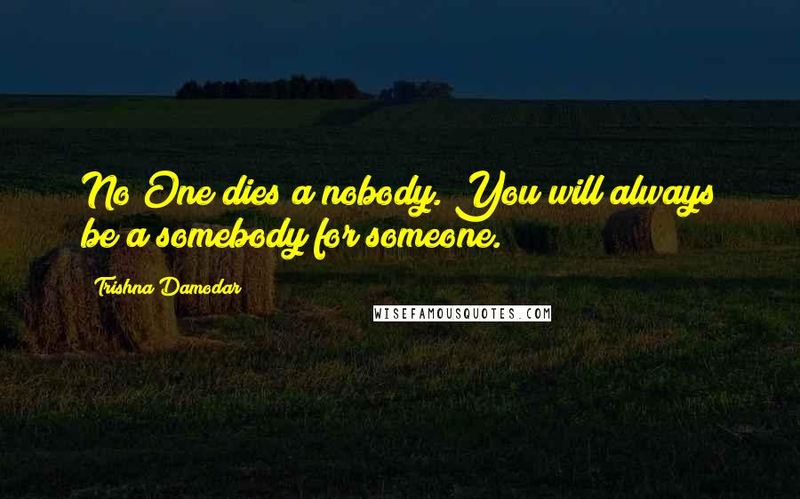 Trishna Damodar Quotes: No One dies a nobody. You will always be a somebody for someone.