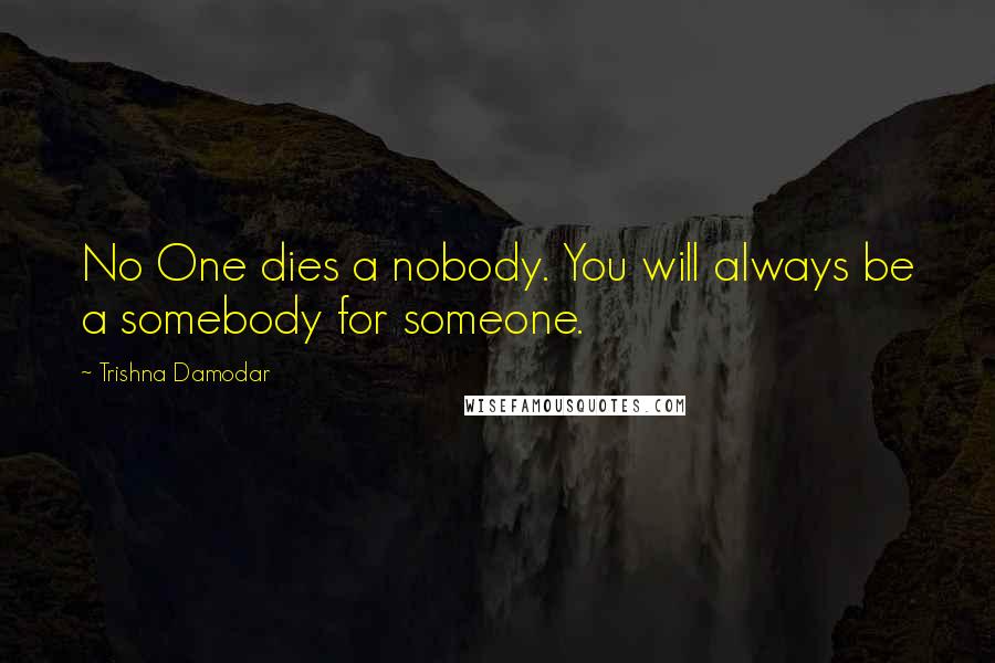 Trishna Damodar Quotes: No One dies a nobody. You will always be a somebody for someone.