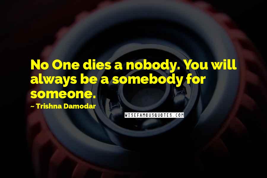 Trishna Damodar Quotes: No One dies a nobody. You will always be a somebody for someone.