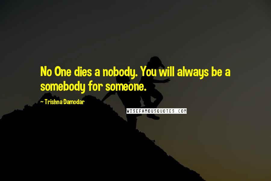 Trishna Damodar Quotes: No One dies a nobody. You will always be a somebody for someone.