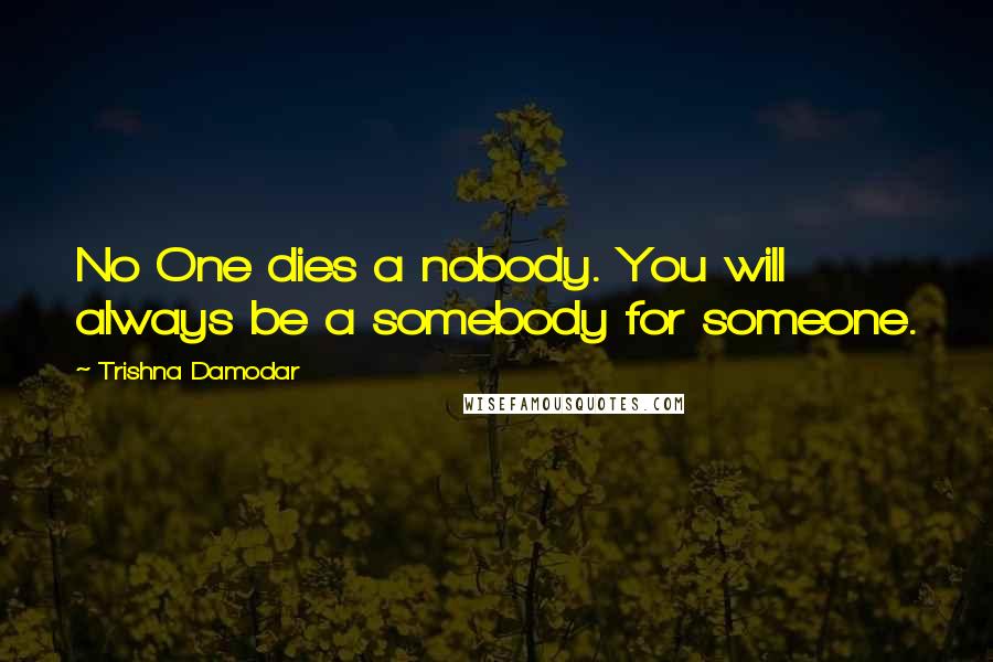 Trishna Damodar Quotes: No One dies a nobody. You will always be a somebody for someone.