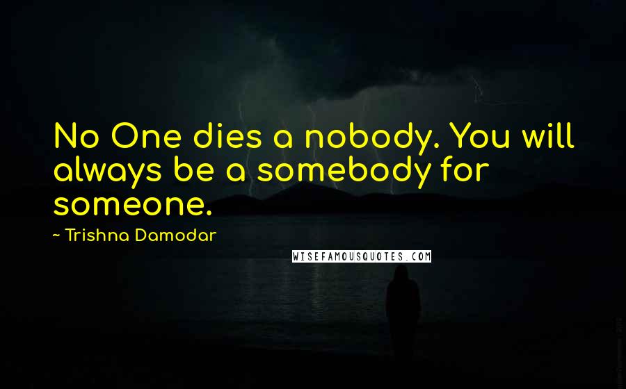 Trishna Damodar Quotes: No One dies a nobody. You will always be a somebody for someone.