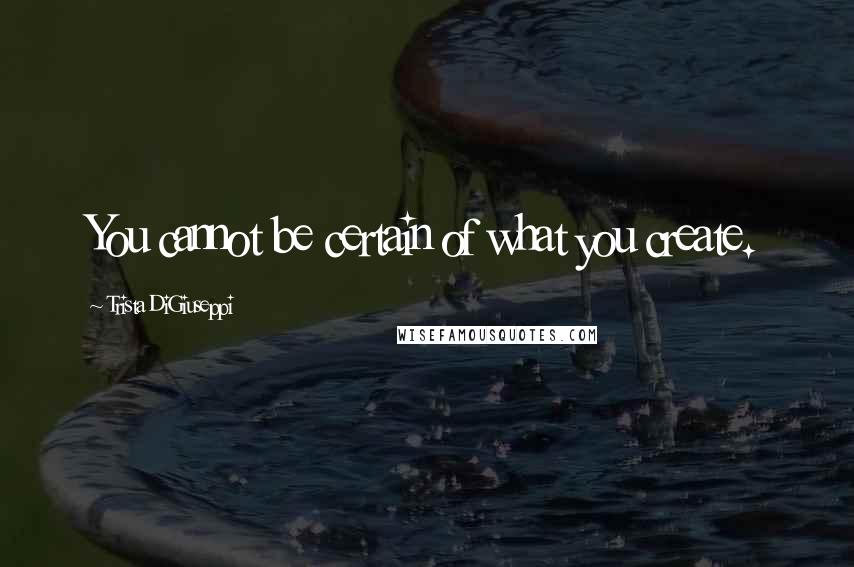 Trista DiGiuseppi Quotes: You cannot be certain of what you create.