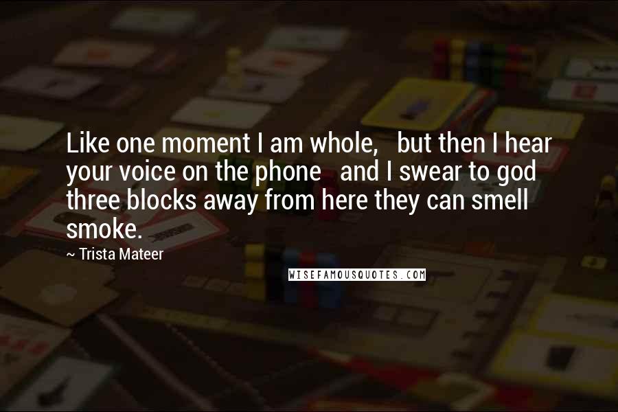 Trista Mateer Quotes: Like one moment I am whole, but then I hear your voice on the phone and I swear to god three blocks away from here they can smell smoke.