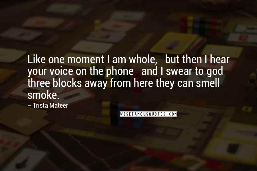 Trista Mateer Quotes: Like one moment I am whole,   but then I hear your voice on the phone   and I swear to god three blocks away from here they can smell smoke.