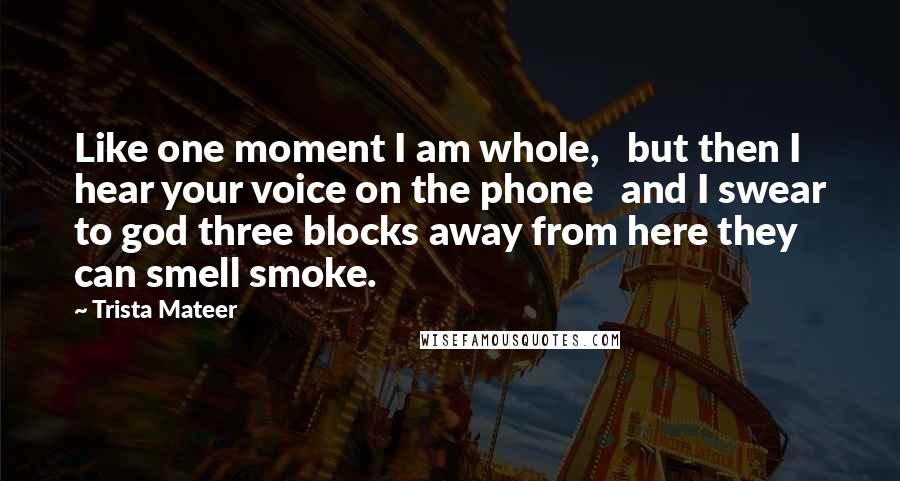 Trista Mateer Quotes: Like one moment I am whole,   but then I hear your voice on the phone   and I swear to god three blocks away from here they can smell smoke.