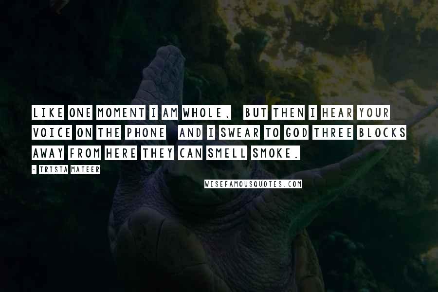 Trista Mateer Quotes: Like one moment I am whole,   but then I hear your voice on the phone   and I swear to god three blocks away from here they can smell smoke.