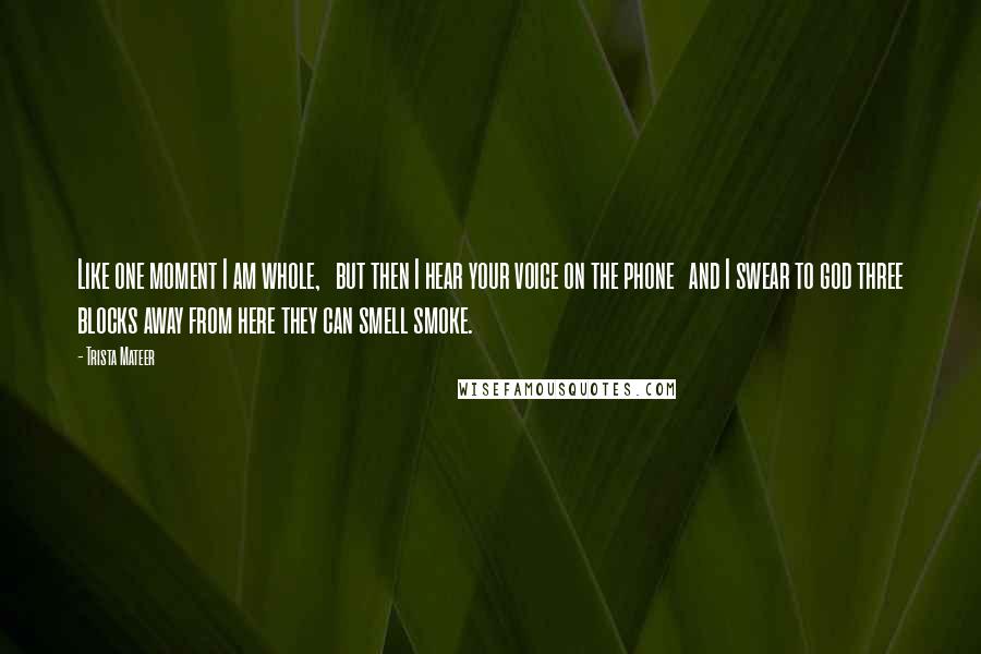 Trista Mateer Quotes: Like one moment I am whole,   but then I hear your voice on the phone   and I swear to god three blocks away from here they can smell smoke.