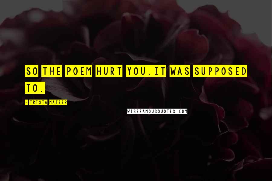 Trista Mateer Quotes: so the poem hurt you.it was supposed to.