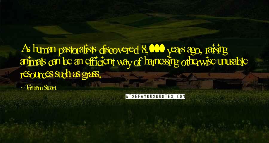 Tristram Stuart Quotes: As human pastoralists discovered 8,000 years ago, raising animals can be an efficient way of harnessing otherwise unusable resources such as grass.