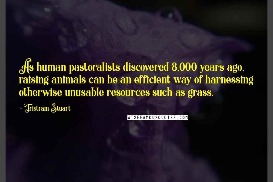 Tristram Stuart Quotes: As human pastoralists discovered 8,000 years ago, raising animals can be an efficient way of harnessing otherwise unusable resources such as grass.