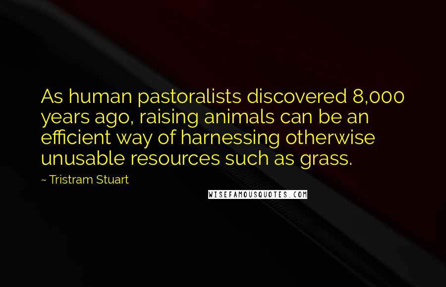 Tristram Stuart Quotes: As human pastoralists discovered 8,000 years ago, raising animals can be an efficient way of harnessing otherwise unusable resources such as grass.