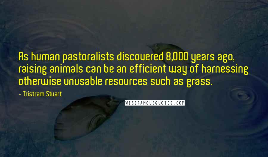Tristram Stuart Quotes: As human pastoralists discovered 8,000 years ago, raising animals can be an efficient way of harnessing otherwise unusable resources such as grass.