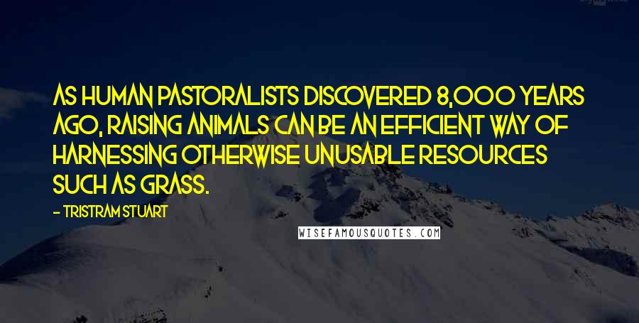 Tristram Stuart Quotes: As human pastoralists discovered 8,000 years ago, raising animals can be an efficient way of harnessing otherwise unusable resources such as grass.