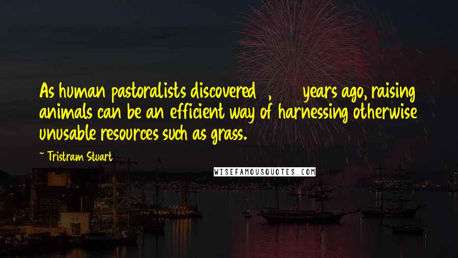 Tristram Stuart Quotes: As human pastoralists discovered 8,000 years ago, raising animals can be an efficient way of harnessing otherwise unusable resources such as grass.