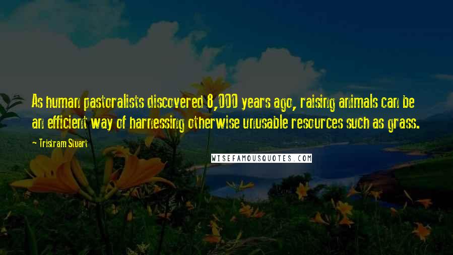 Tristram Stuart Quotes: As human pastoralists discovered 8,000 years ago, raising animals can be an efficient way of harnessing otherwise unusable resources such as grass.