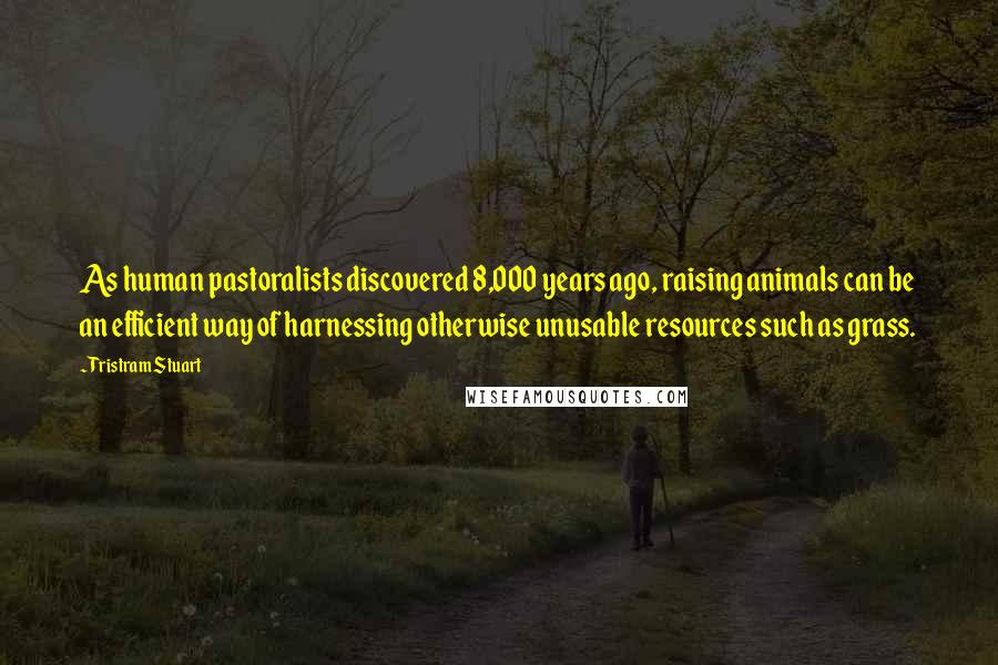 Tristram Stuart Quotes: As human pastoralists discovered 8,000 years ago, raising animals can be an efficient way of harnessing otherwise unusable resources such as grass.