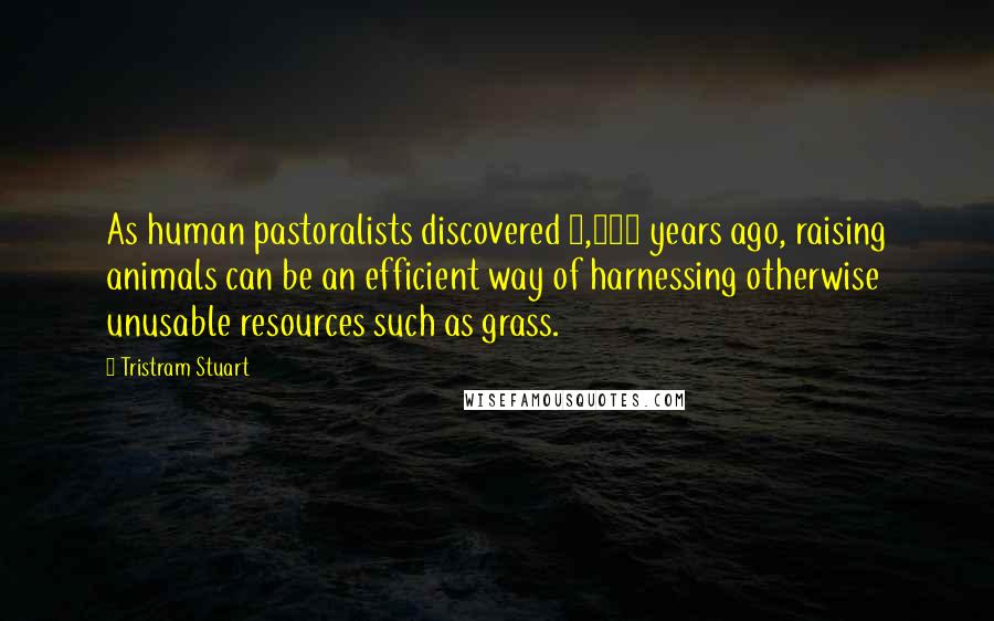 Tristram Stuart Quotes: As human pastoralists discovered 8,000 years ago, raising animals can be an efficient way of harnessing otherwise unusable resources such as grass.