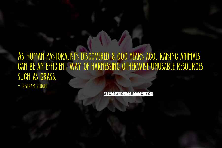 Tristram Stuart Quotes: As human pastoralists discovered 8,000 years ago, raising animals can be an efficient way of harnessing otherwise unusable resources such as grass.