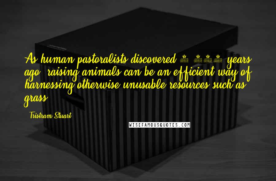 Tristram Stuart Quotes: As human pastoralists discovered 8,000 years ago, raising animals can be an efficient way of harnessing otherwise unusable resources such as grass.