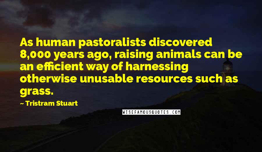 Tristram Stuart Quotes: As human pastoralists discovered 8,000 years ago, raising animals can be an efficient way of harnessing otherwise unusable resources such as grass.