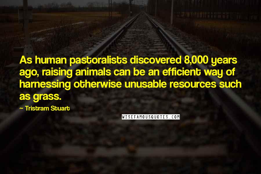 Tristram Stuart Quotes: As human pastoralists discovered 8,000 years ago, raising animals can be an efficient way of harnessing otherwise unusable resources such as grass.