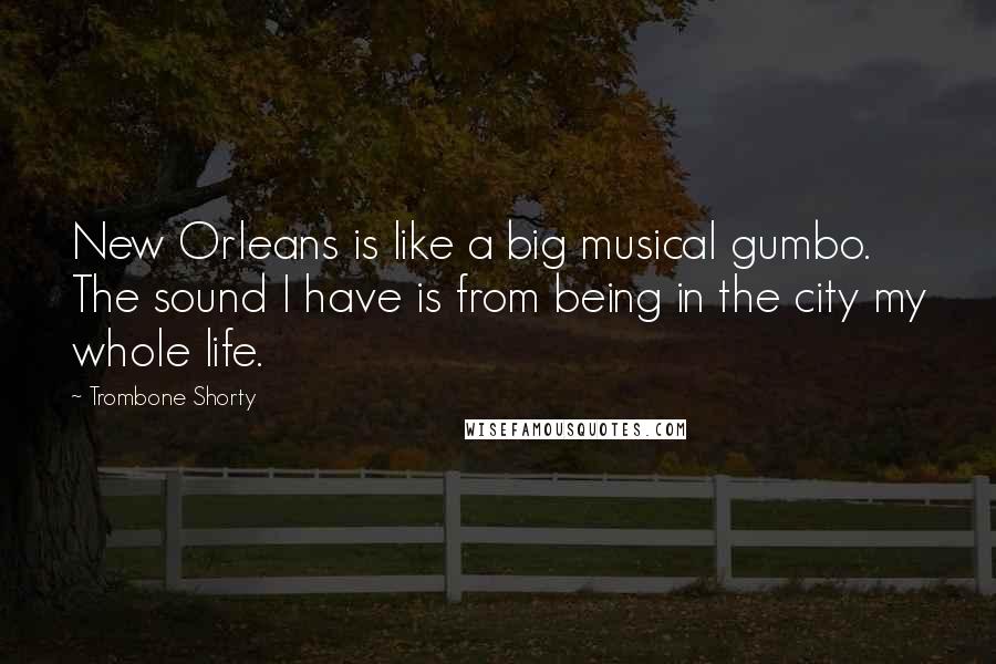 Trombone Shorty Quotes: New Orleans is like a big musical gumbo. The sound I have is from being in the city my whole life.