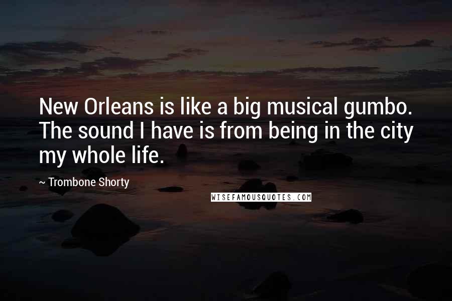 Trombone Shorty Quotes: New Orleans is like a big musical gumbo. The sound I have is from being in the city my whole life.