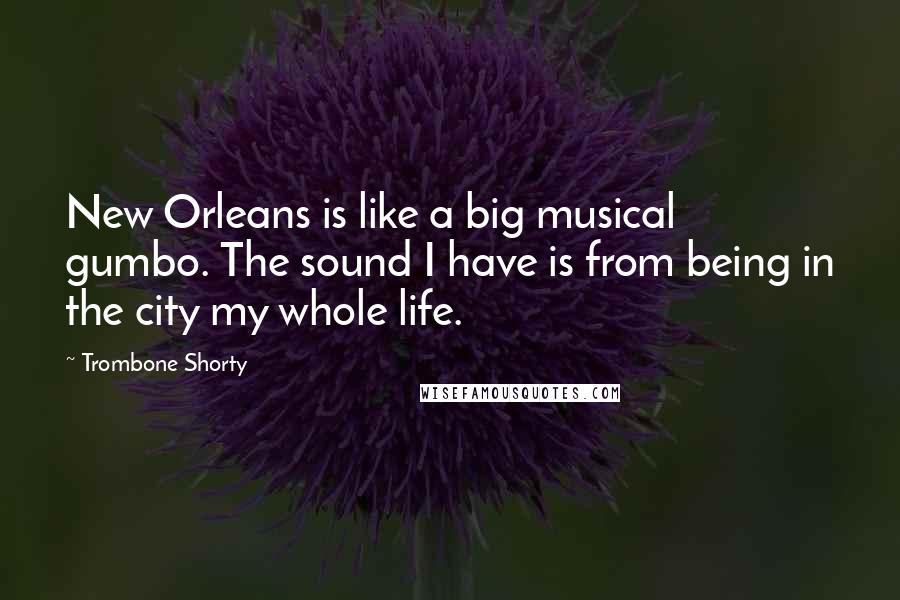 Trombone Shorty Quotes: New Orleans is like a big musical gumbo. The sound I have is from being in the city my whole life.