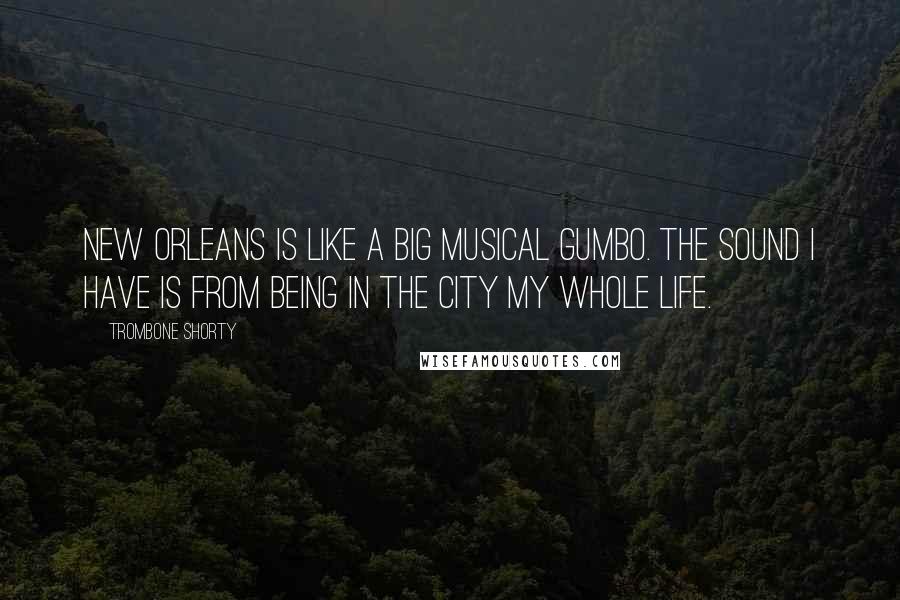 Trombone Shorty Quotes: New Orleans is like a big musical gumbo. The sound I have is from being in the city my whole life.