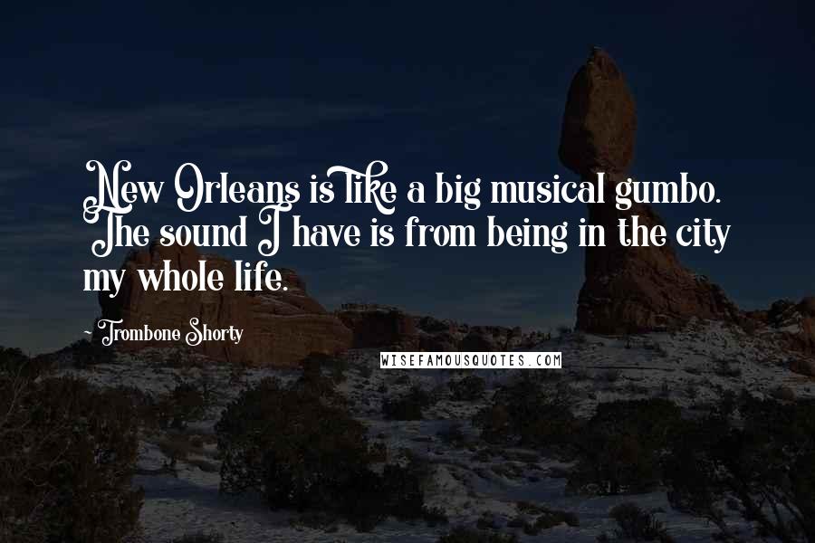 Trombone Shorty Quotes: New Orleans is like a big musical gumbo. The sound I have is from being in the city my whole life.
