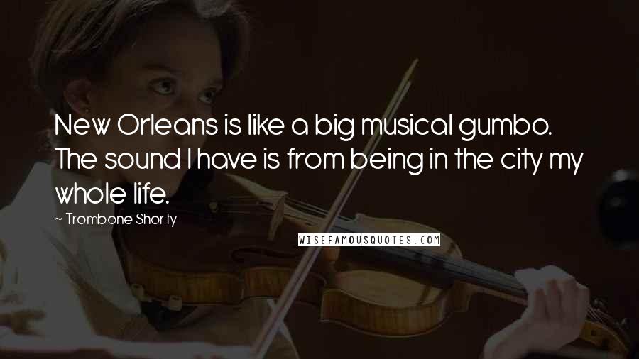 Trombone Shorty Quotes: New Orleans is like a big musical gumbo. The sound I have is from being in the city my whole life.