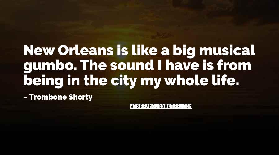 Trombone Shorty Quotes: New Orleans is like a big musical gumbo. The sound I have is from being in the city my whole life.