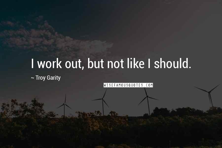 Troy Garity Quotes: I work out, but not like I should.