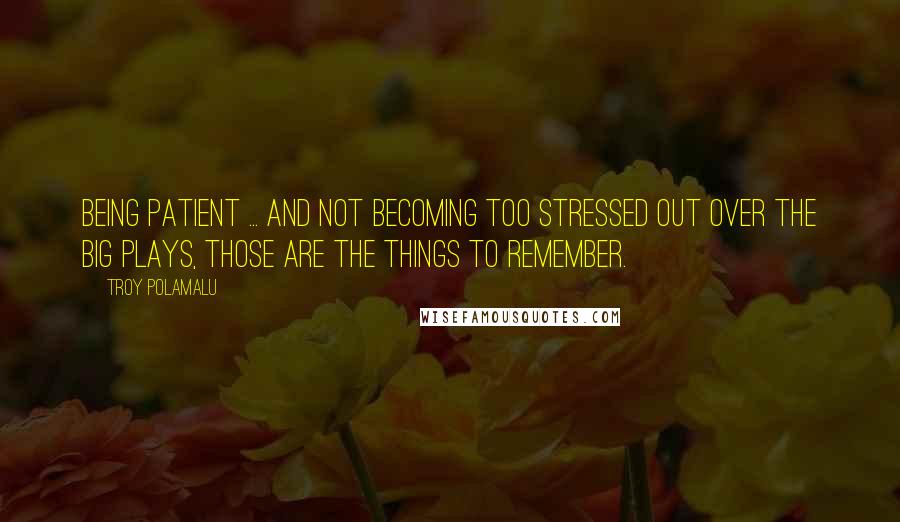 Troy Polamalu Quotes: Being patient ... and not becoming too stressed out over the big plays, those are the things to remember.