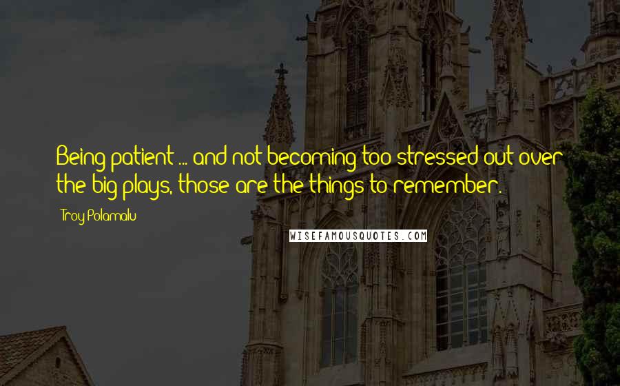 Troy Polamalu Quotes: Being patient ... and not becoming too stressed out over the big plays, those are the things to remember.